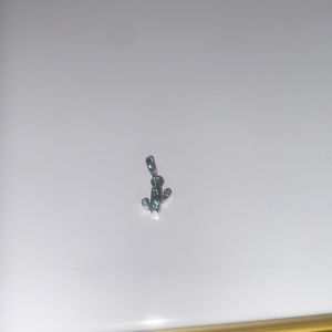 Pandora mini cactus charm